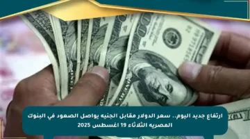 ارتفاع جديد اليوم.. سعر الدولار مقابل الجنيه يواصل الصعود في البنوك المصرية الثلاثاء 19 أغسطس 2025